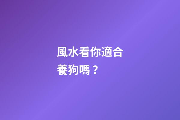 風水看你適合養狗嗎？